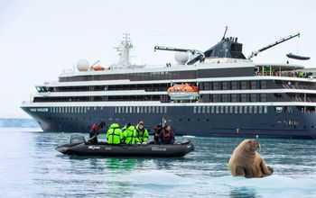 Atlas Ocean Voyages, Zodiac, arctic animals, polar animals, Arctic expeditions, arctic expedition cruise, walrus