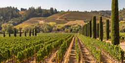 Sonoma County, California
