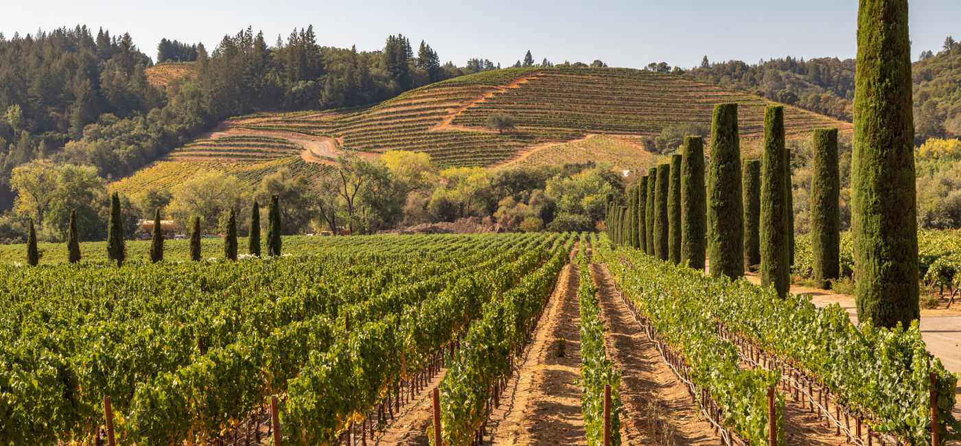 Image: Sonoma County is leading the way in actively weaving sustainability into its travel and tourism industry. (Photo Credit: Courtesy AdobeStock)