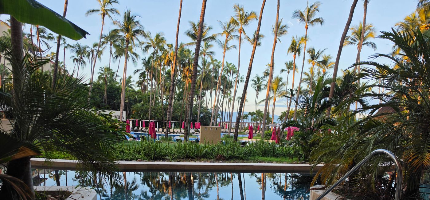 Image: The tranquil view off the terrace of a swim-up suite at the Westin Playa Vallarta (Photo Credit: Jen Mallia/TravelPulse Canada)