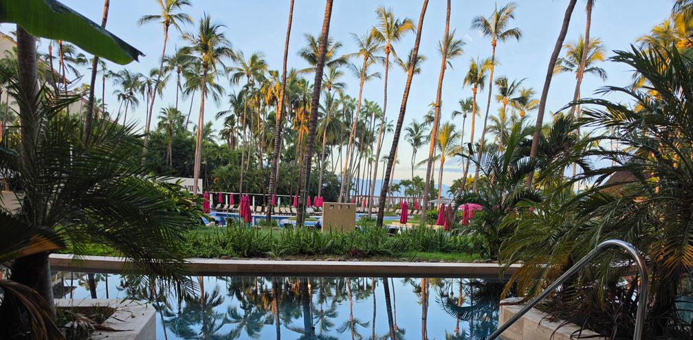 Swim up suite, Westin Playa Vallarta