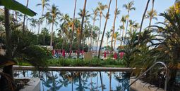 Swim up suite, Westin Playa Vallarta