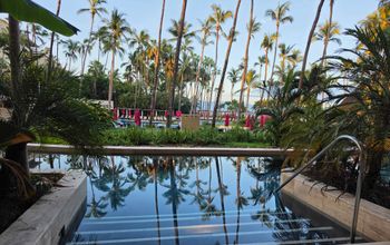 Swim up suite, Westin Playa Vallarta