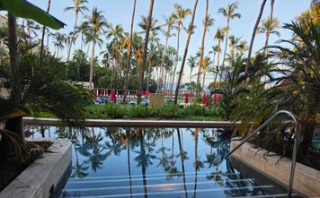 Swim up suite, Westin Playa Vallarta