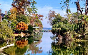 Overview of lagoon with bird life and view to river