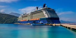 Celebrity Silhouette
