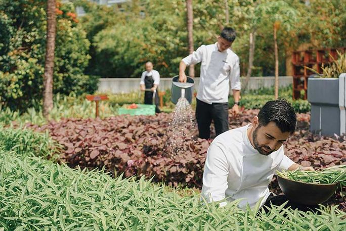 On-site gardening, local produce and once-popular culinary staples will become bigger trends in the food world next year. Marriott International, food trends, culinary trends