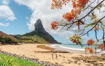 Fernando de Noronha Brazil, Brazil, Brazilian Islands