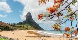 Fernando de Noronha Brazil, Brazil, Brazilian Islands