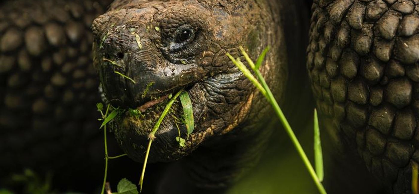 Image: Adventure Canada is offering new Galapagos trips for 2026. (Photo Credit: Adventure Canada)