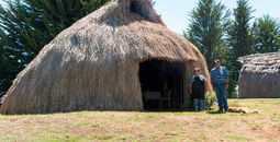 Ruca Mapuche