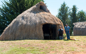 Ruca Mapuche