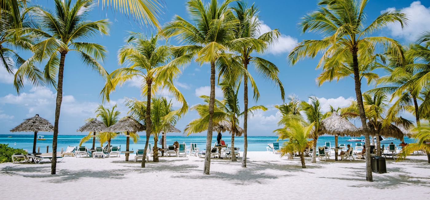 Image: Palm trees on Palm Beach in Aruba (Photo Credit: Fokke Baarssen/Adobe Stock)