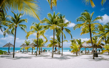 Palm trees on Palm Beach in Aruba