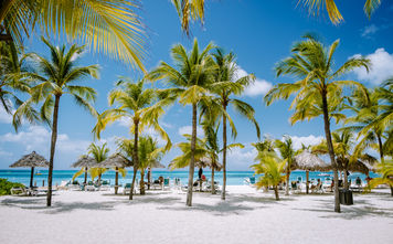 Palm trees on Palm Beach in Aruba