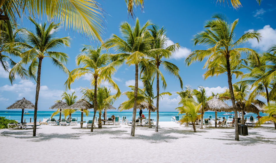 Palm trees on Palm Beach in Aruba
