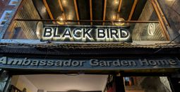 Black Bird bar, Thamel, Kathmandu