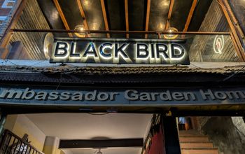 Black Bird bar, Thamel, Kathmandu
