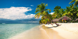 Tropical beach on Saona Island, Dominican Republic.