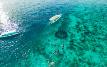 Contiki, indonesia