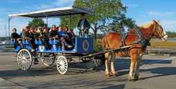 A Collette horse-drawn carriage excursion in Beaufort, S.C.