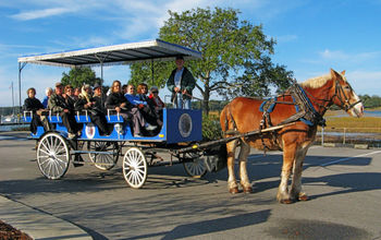 A Collette horse-drawn carriage excursion in Beaufort, S.C.