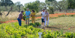 The Travel Corporation sustainable excursion.