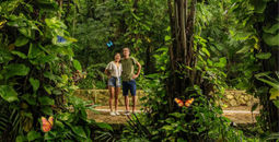All-Fun Inclusive™ Xcaret