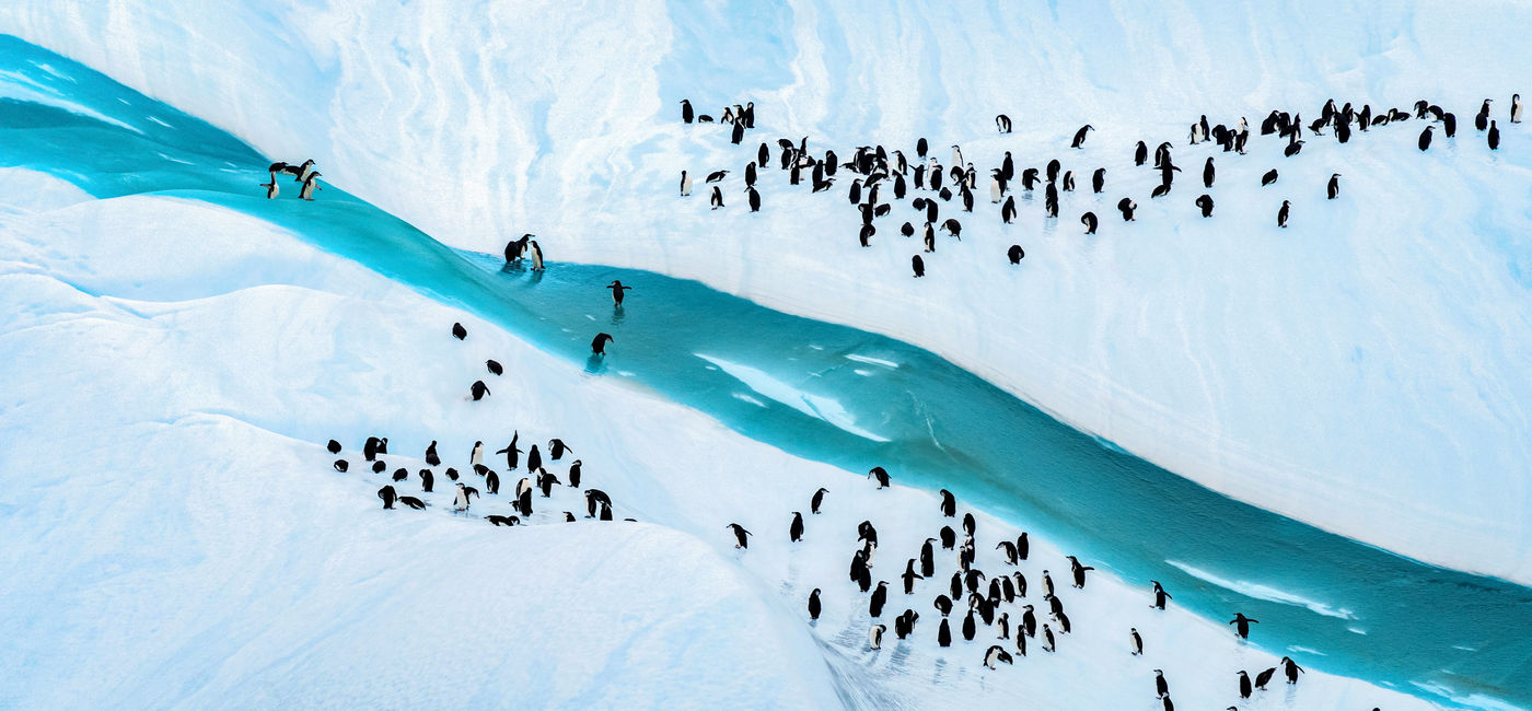 Image: PONANT EXPLORATIONS GROUP and the Woods Hole Oceanographic Institution have unveiled a new Polar Ocean Image Collection (Photo Credit: Ophelie Bleunven/Studio PONANT)