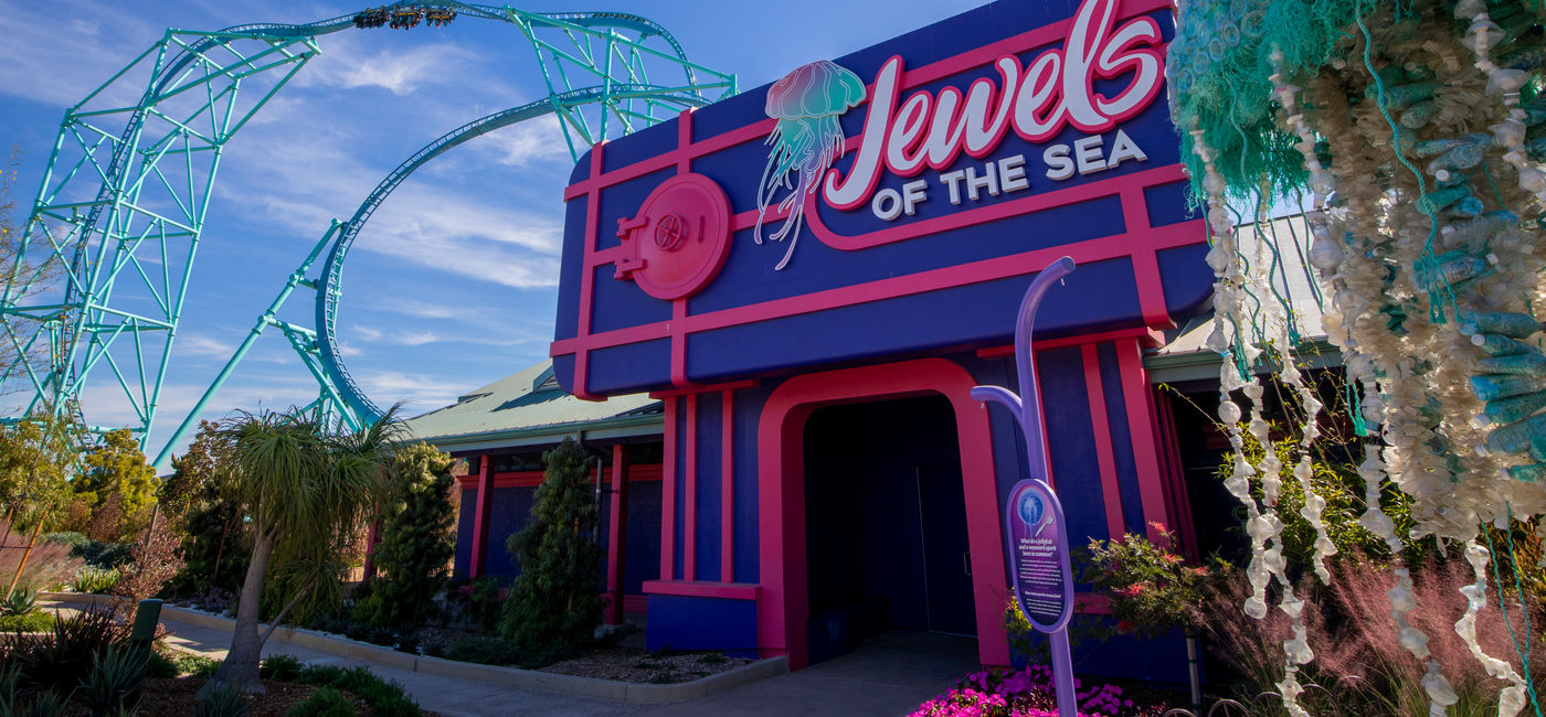 Image: Jewels of the Sea: A Jellyfish Experience at SeaWorld San Diego. (Photo Credit: SeaWorld)