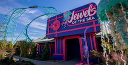 Jewels of the Sea: A Jellyfish Experience at SeaWorld San Diego.