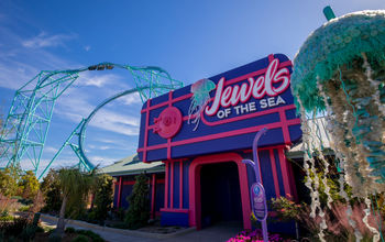Jewels of the Sea: A Jellyfish Experience at SeaWorld San Diego.