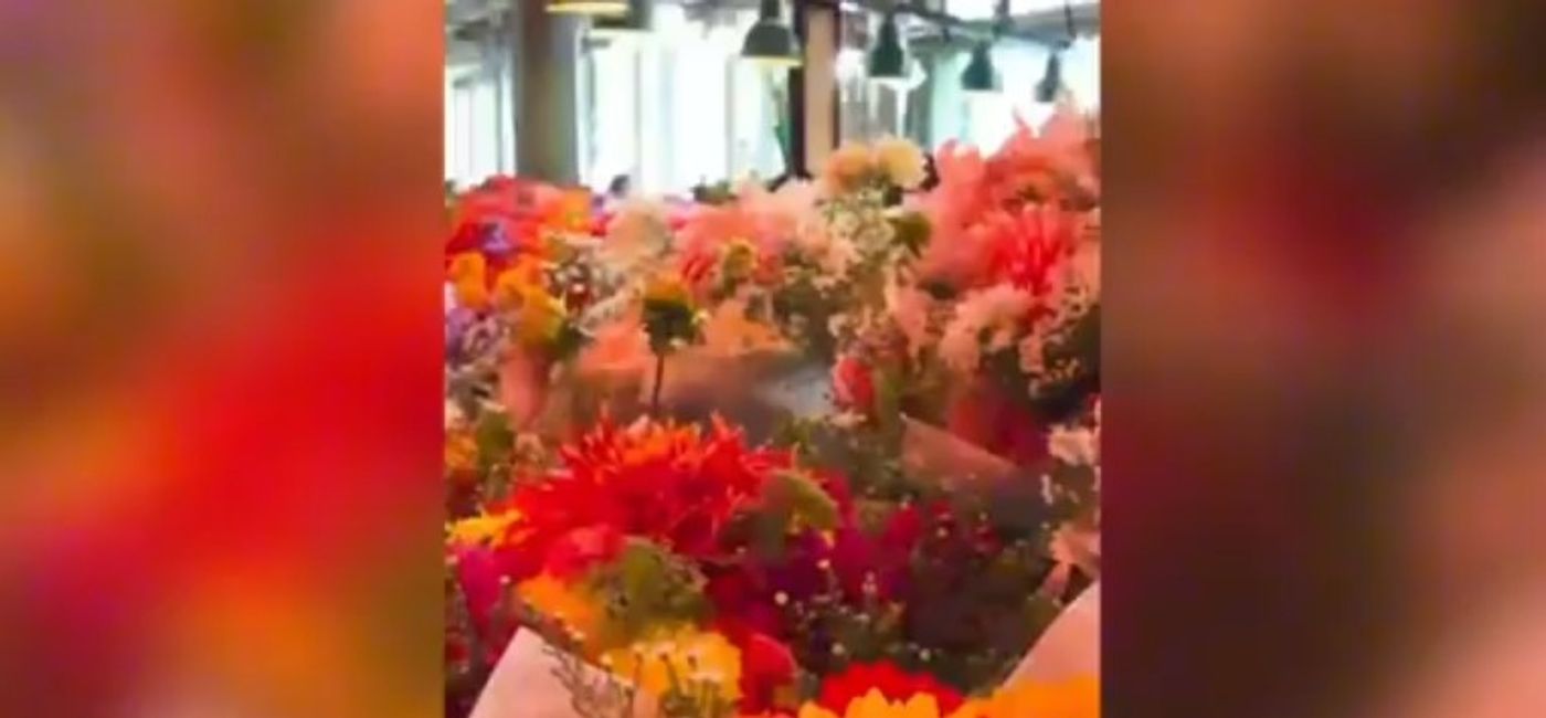 Photo: (Courtesy of Northstar Travel Group)