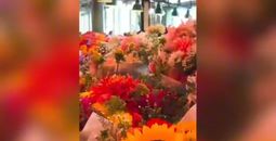 Winner of #SeattlewithNTG Video Contest: Christy Lyczkowski