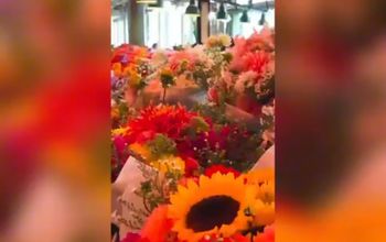 Winner of #SeattlewithNTG Video Contest: Christy Lyczkowski