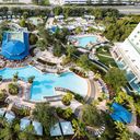Hilton, Hilton Orlando, orlando hotels, hotels in orlando