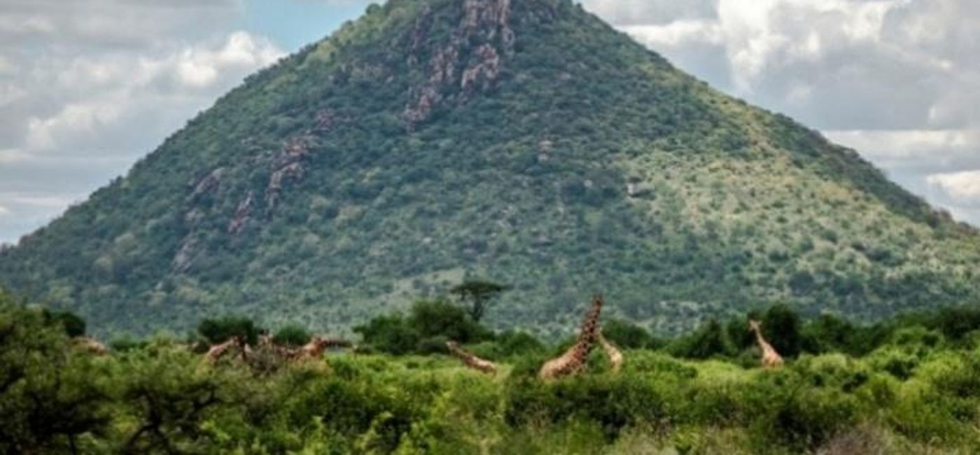Image: Samburu National Reserve, Kenya. (Photo Credit: Jane Wynyard)