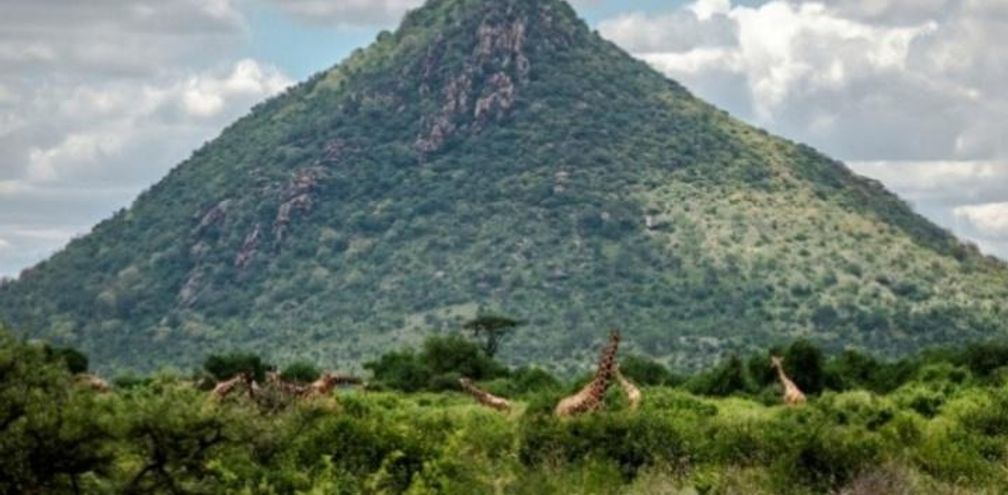 Samburu National Reserve, Kenya.