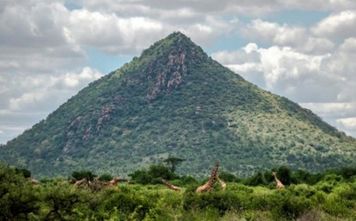 Samburu National Reserve, Kenya.