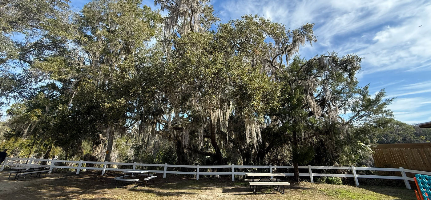 Image: Beautiful grounds at Ocala's Canyons Zip Line and Adventure Park. (Photo Credit: Photo by Paul J. Heney.)