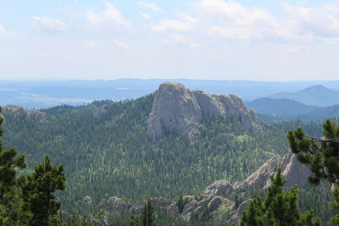 Custer State Park, South Dakota