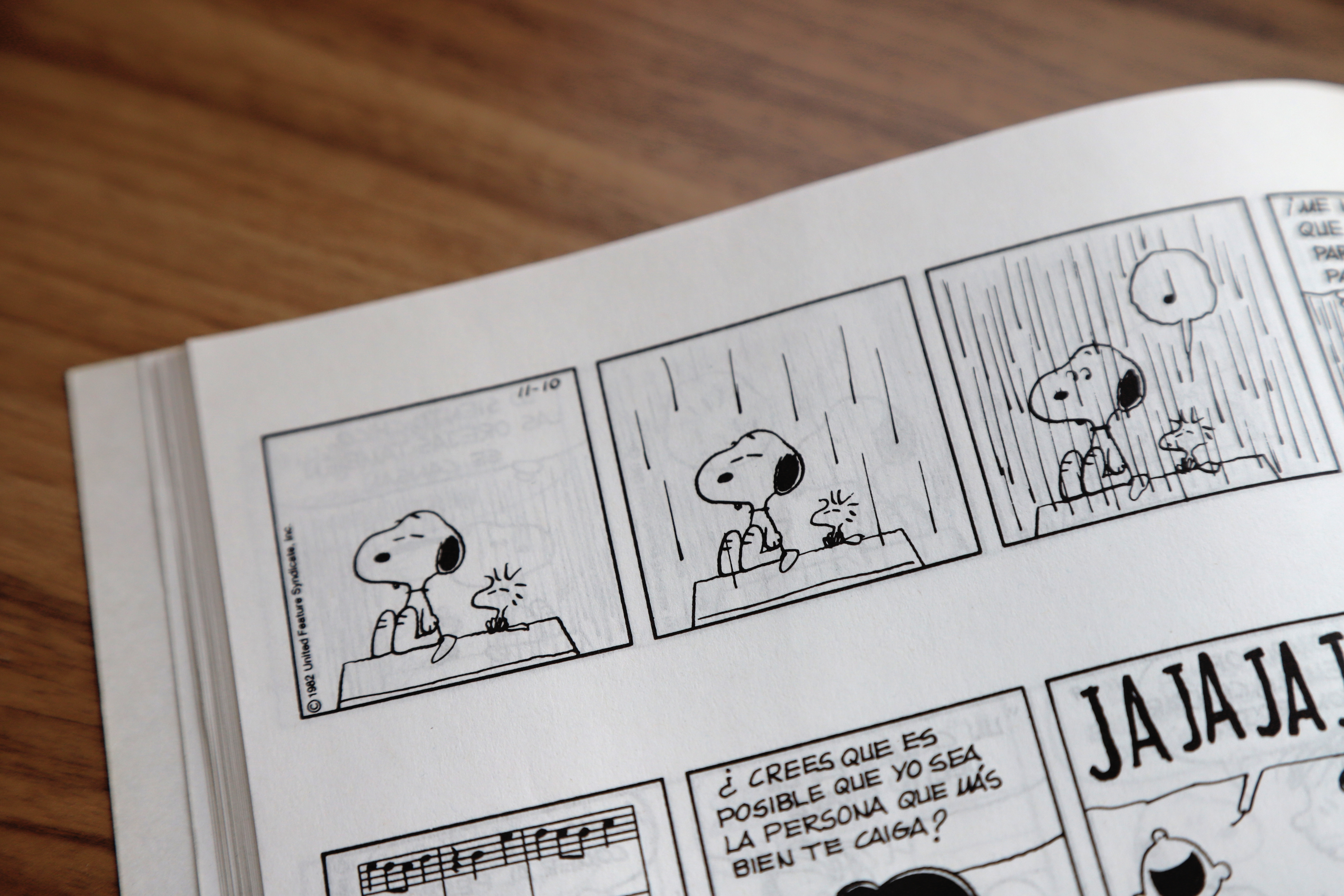 Snoopy and Woodstock comic book created by Charles M. Schulz.