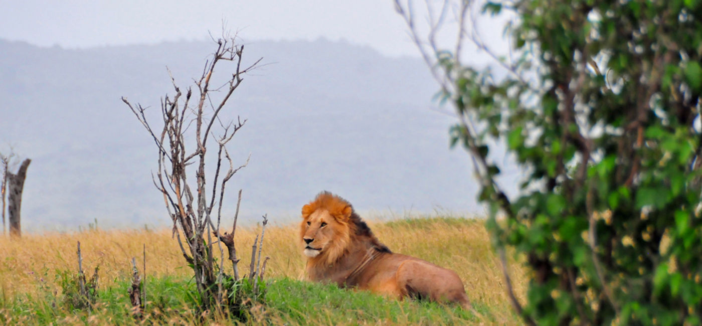 Kenya and Tanzania by Collette