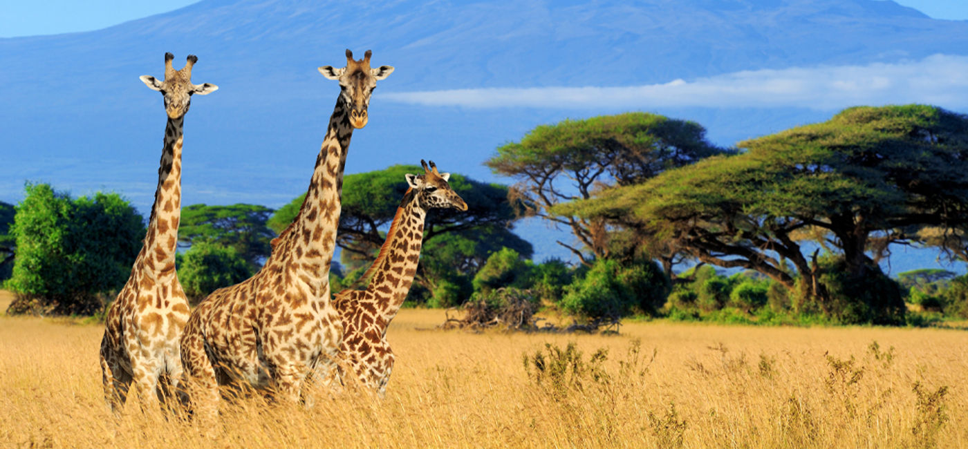 Collette Launches 2025 Worldwide Brochure with New Journeys TravelPulse