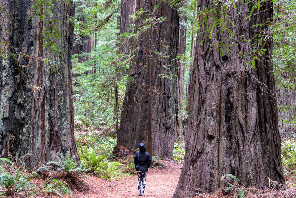 America's 10 Best State Parks for Budget-Friendly Vacations
