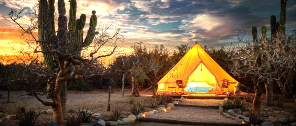 Turn Up the Adventure in Los Cabos