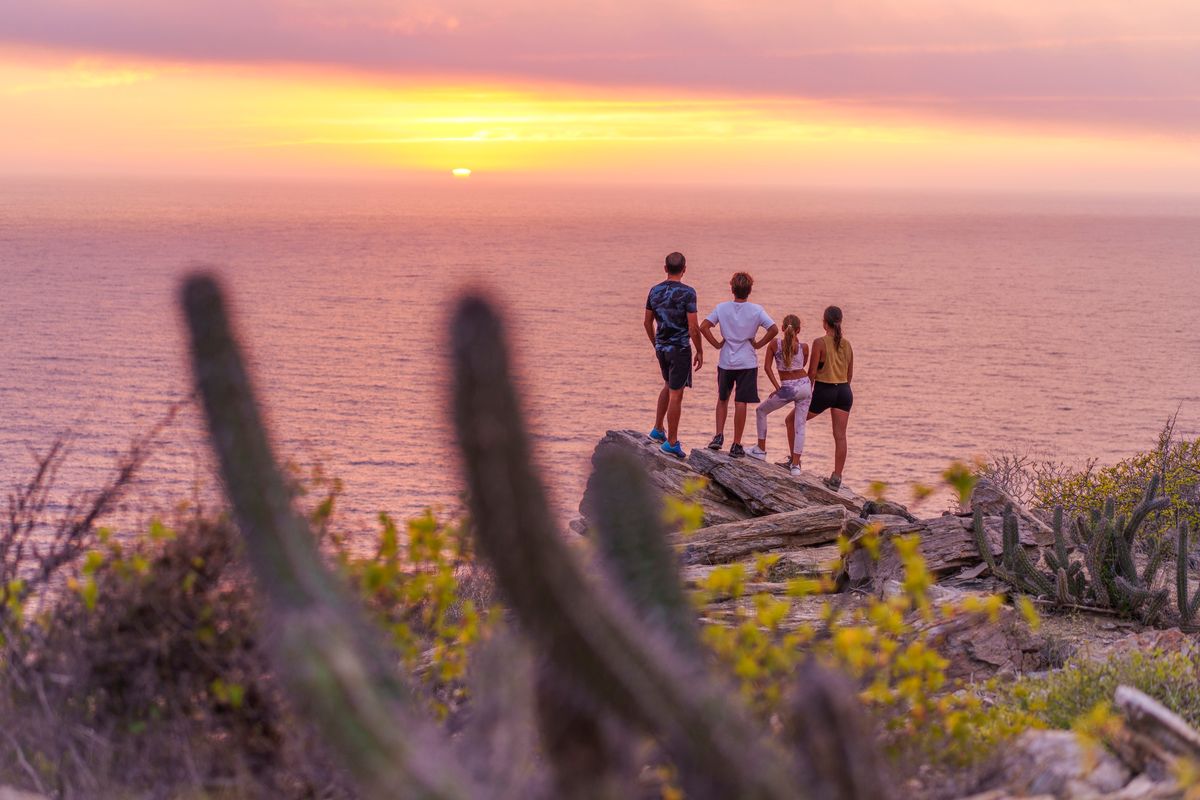 The Other Side of Los Cabos: Where Adventure, Wellness, and Tranquility Await The Other Side of Los Cabos: Where Adventure, Wellness, and Tranquility Await