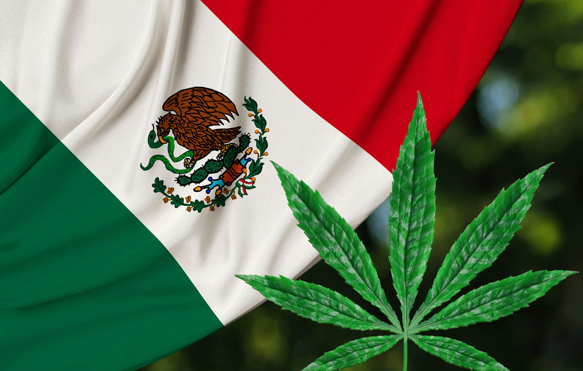 Is Recreational Marijuana Legal in Mexico? What Travelers Need to 