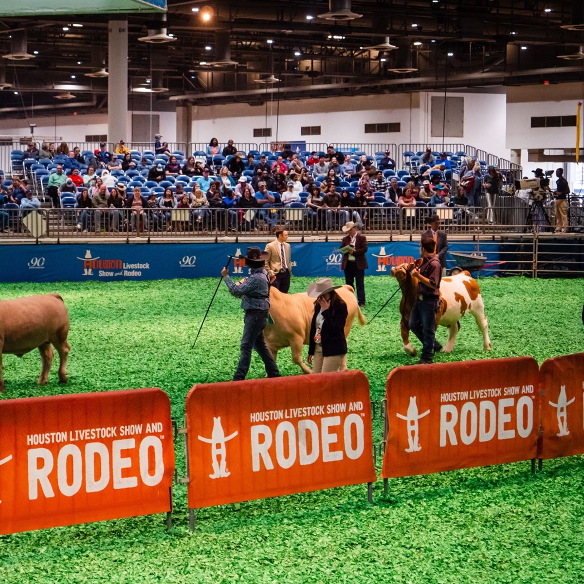 The Farm: Houston's Future Hub for Agriculture and Tourism Set to Transform the Region by 2029