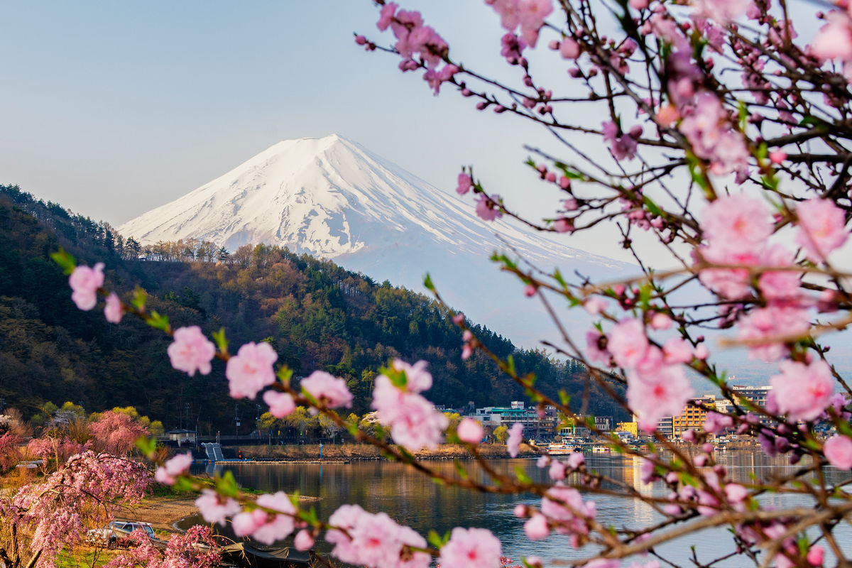 Tourism Exchange Japan Launches Innovative B2B Sales Platform